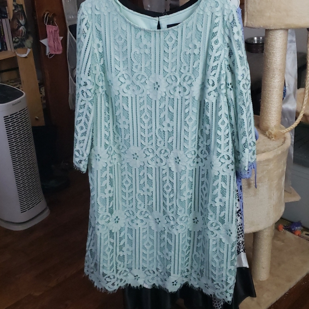 Lis Claiborne dress